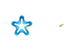 Blueivyinc